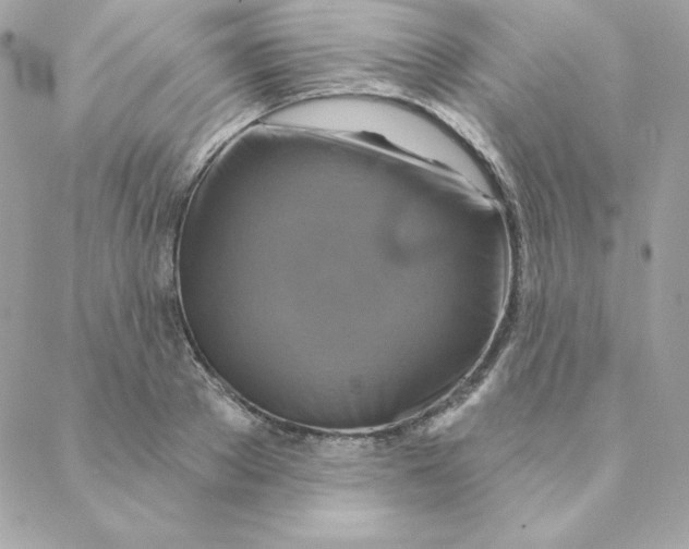 X0000088200889200706051229