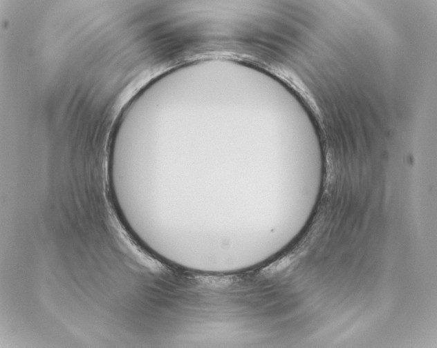 X0000088200890200706051229