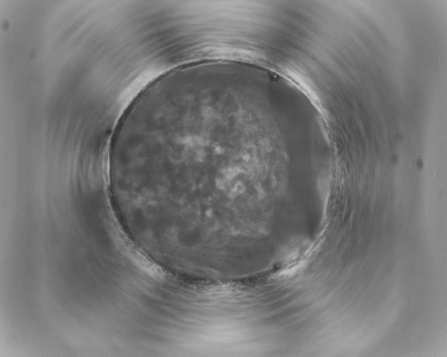 X0000088200891200706051229