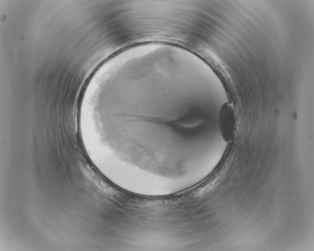 X0000088200892200706051229