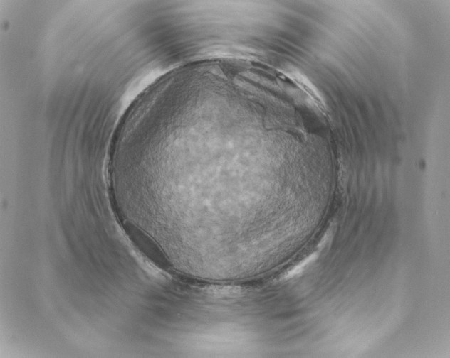 X0000088200893200706051229