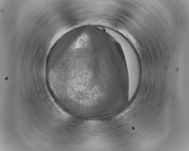 X0000088200894200706051229