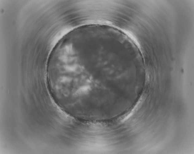 X0000088200895200706051229