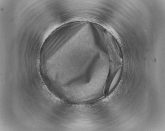 X0000088200896200706051229