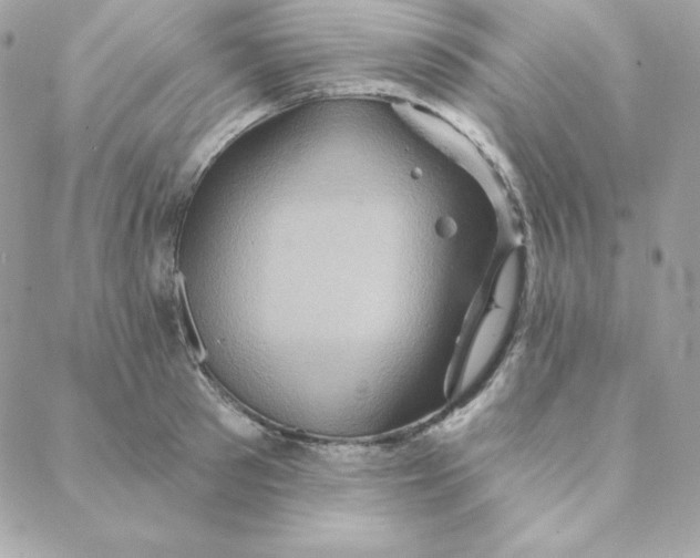 X0000088200897200706051229