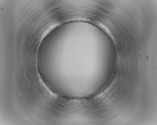 X0000088200898200706051229