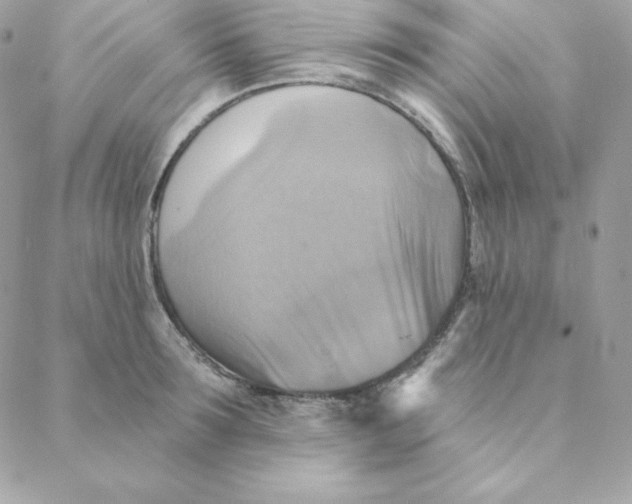 X0000088200899200706051229