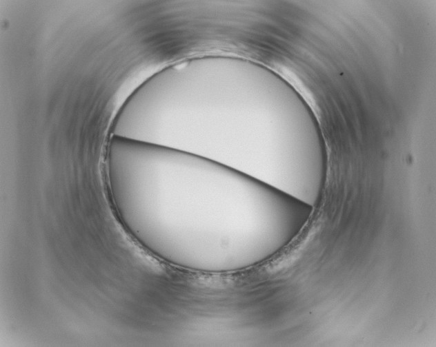 X0000088200901200706051229