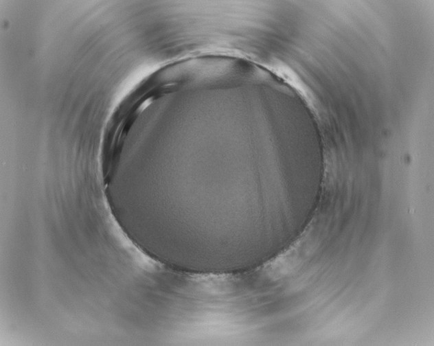 X0000088200902200706051229