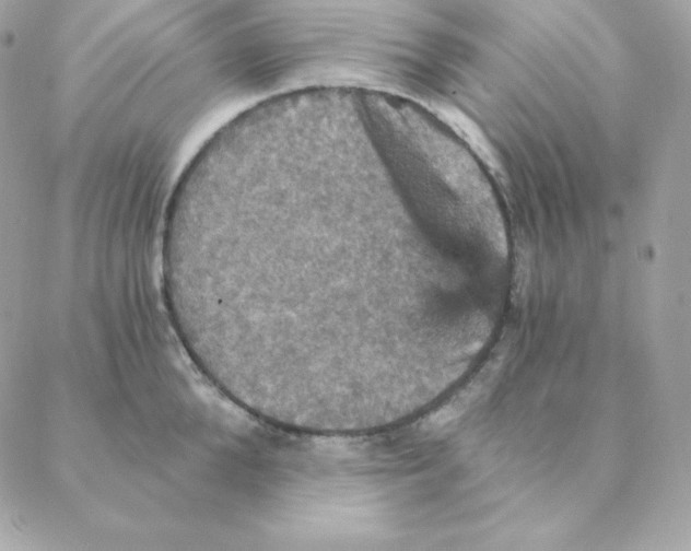 X0000088200904200706051229