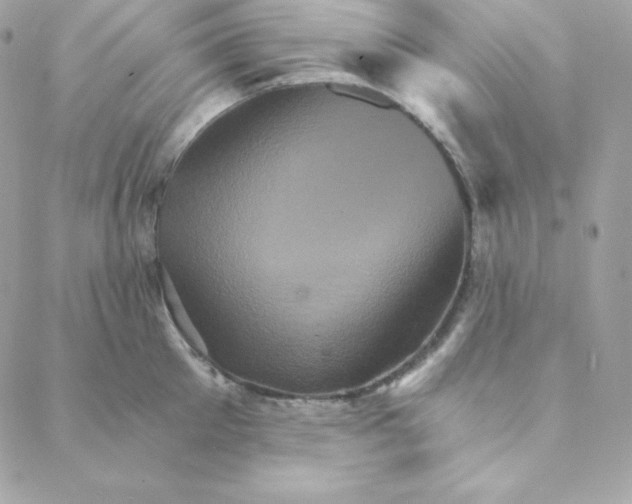 X0000088200905200706051229