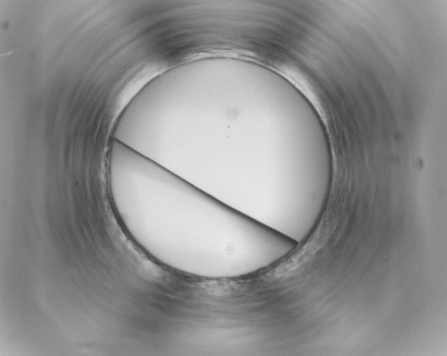 X0000088200906200706051229