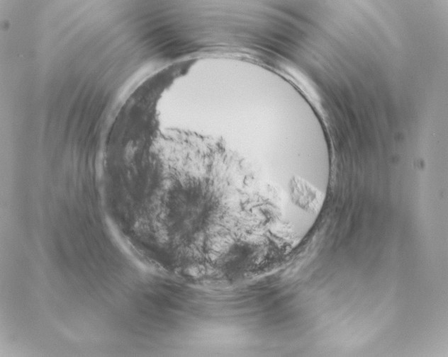 X0000088200907200706051229