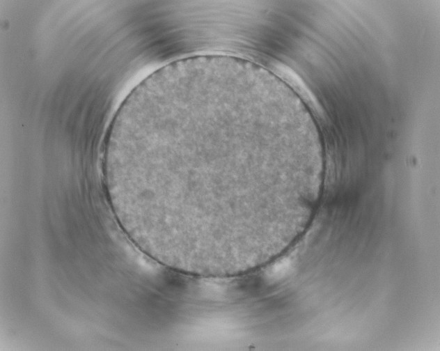 X0000088200908200706051229