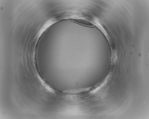 X0000088200909200706051229