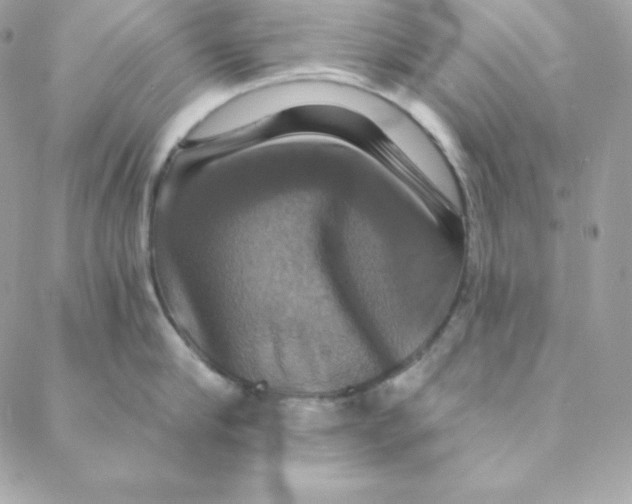 X0000088200910200706051229