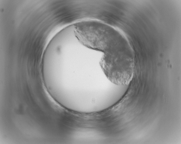 X0000088200911200706051229