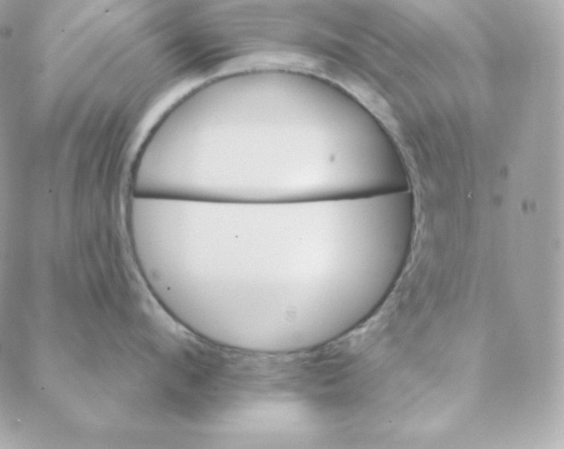 X0000088200912200706051229