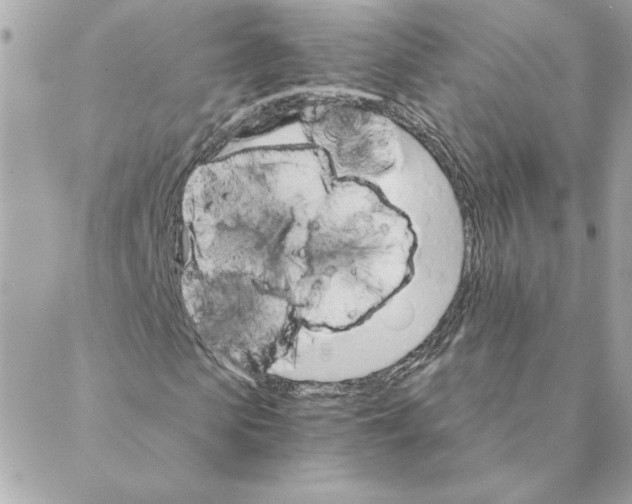 X0000088200913200706051228