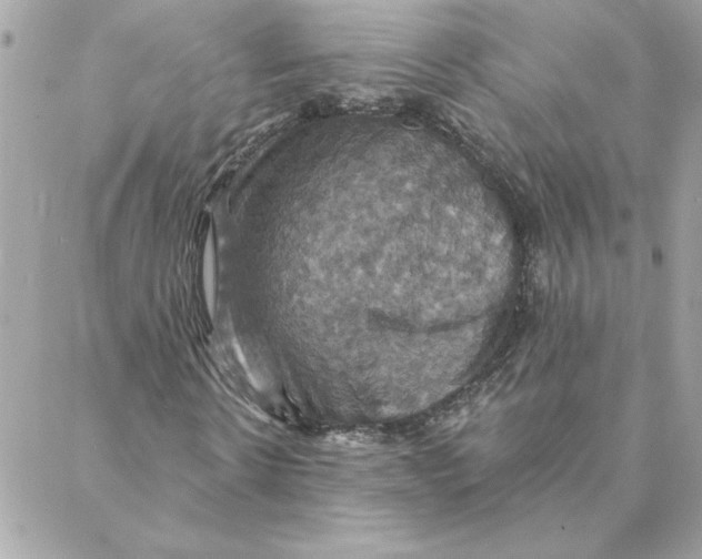 X0000088200914200706051228