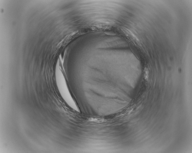 X0000088200915200706051228