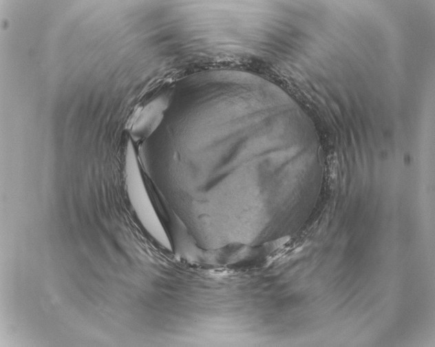 X0000088200916200706051228