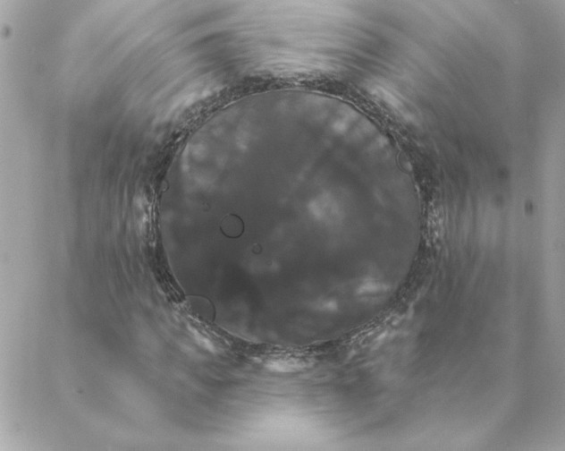 X0000088200917200706051228