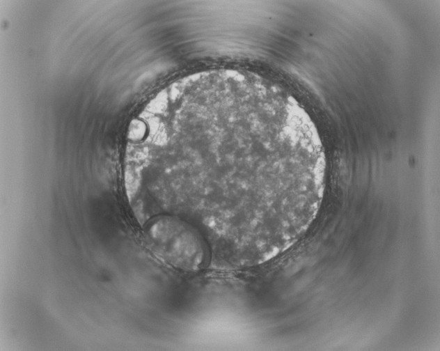 X0000088200918200706051228