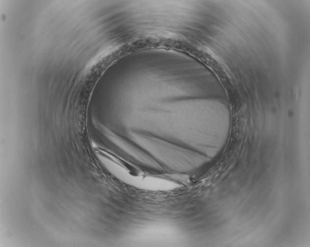 X0000088200919200706051228