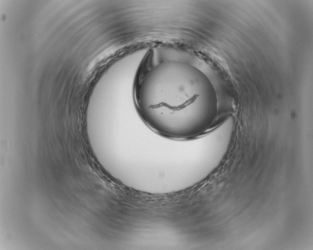 X0000088200920200706051228