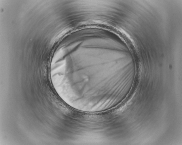 X0000088200921200706051228