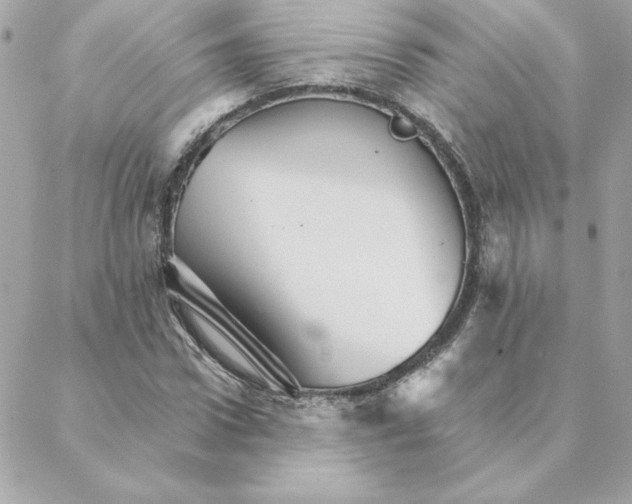 X0000088200922200706051228