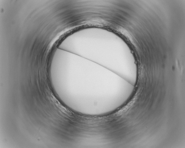 X0000088200923200706051228