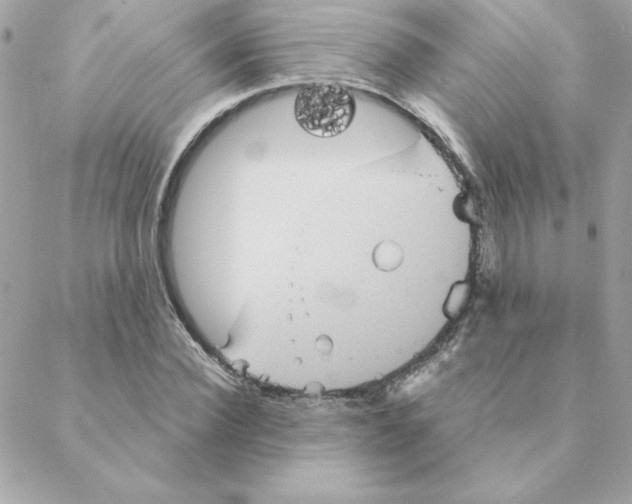 X0000088200924200706051228