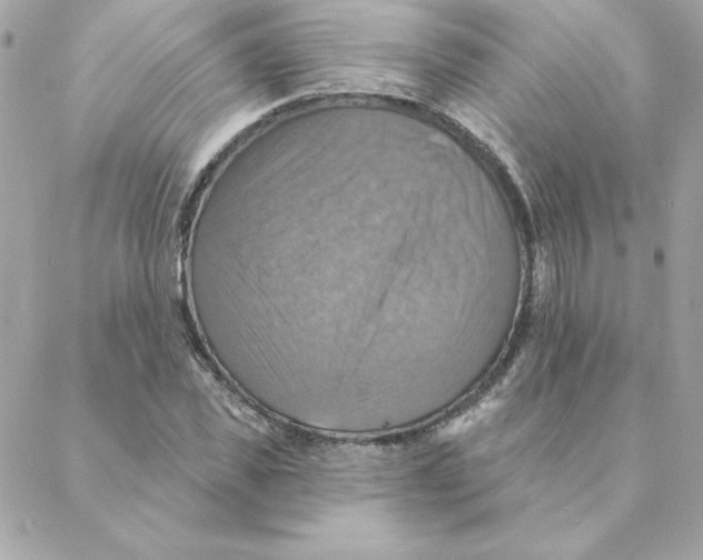 X0000088200925200706051228