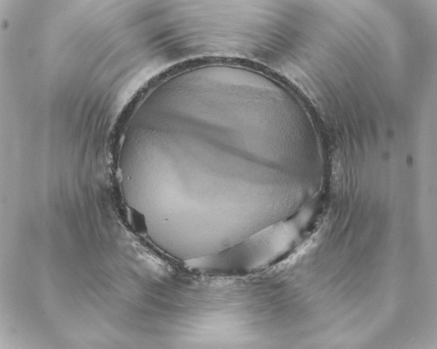 X0000088200926200706051228