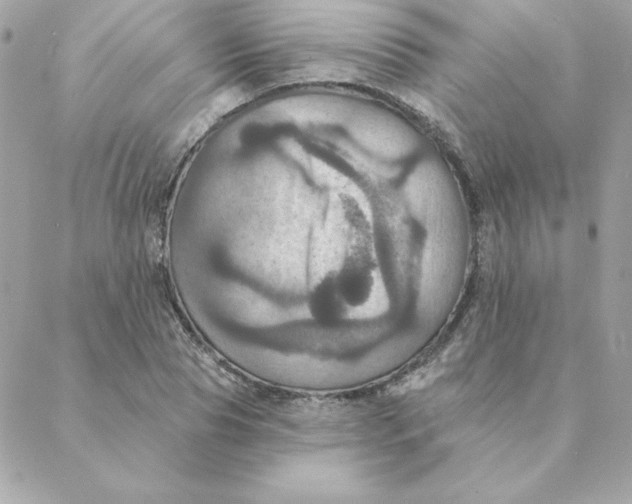 X0000088200929200706051228