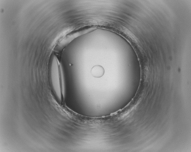 X0000088200930200706051228