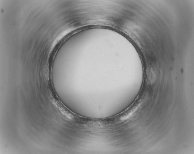 X0000088200931200706051228