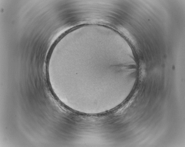 X0000088200932200706051228