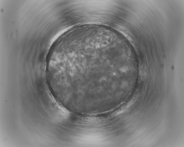 X0000088200933200706051228