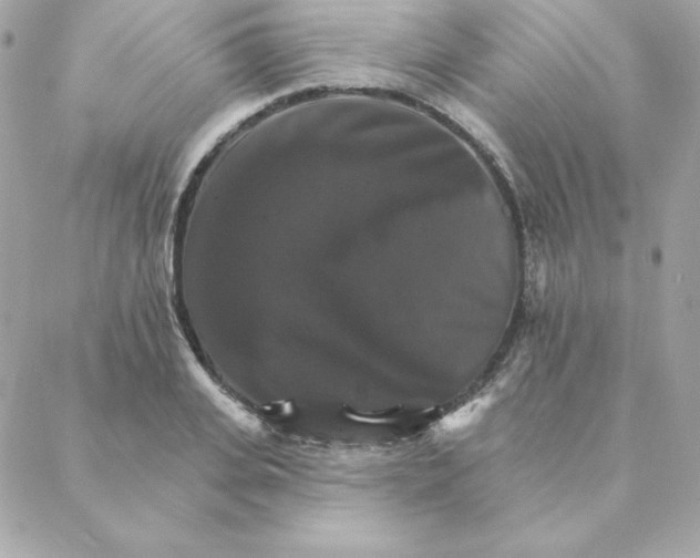 X0000088200935200706051228