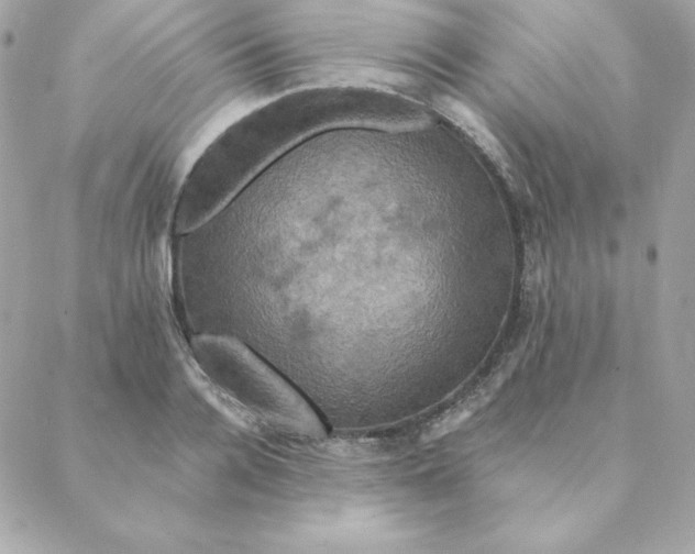 X0000088200936200706051228