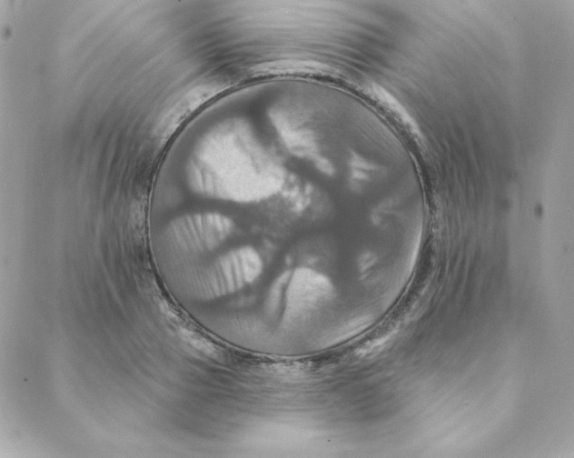 X0000088200937200706051228