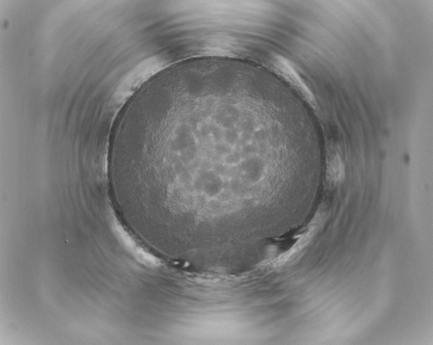 X0000088200938200706051228