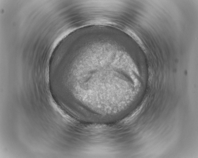 X0000088200939200706051228