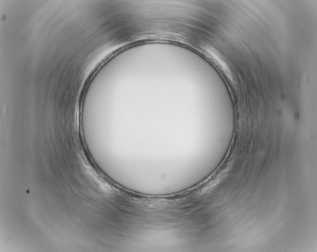 X0000088200940200706051228