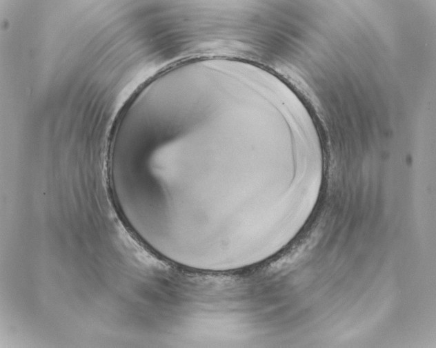 X0000088200941200706051228