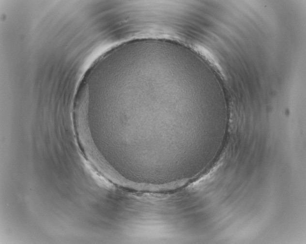 X0000088200942200706051228