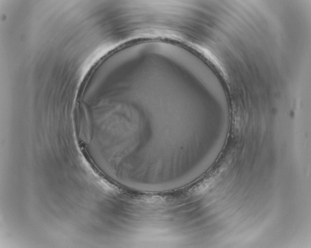 X0000088200943200706051228